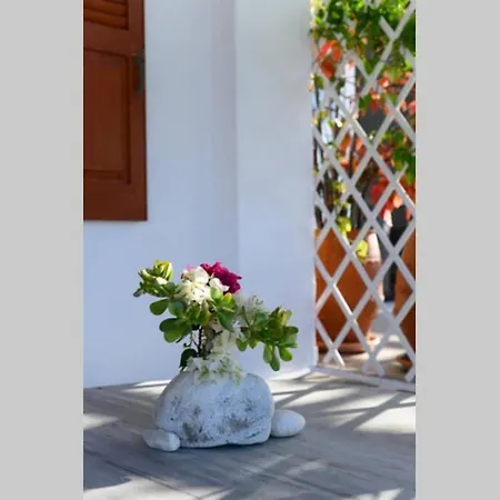 Feriehus Traditional Stonehouse For 4 Ppl In Paros